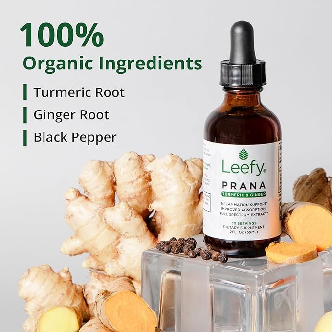 3 Leefy Organics PRANA - The Original Organic Liquid Turmeric Curcumin and Ginger Extract with Black Pepper | Supplement to Support Heart, Brain, Joint Health, Inflammatory Response, Immunity, Drops