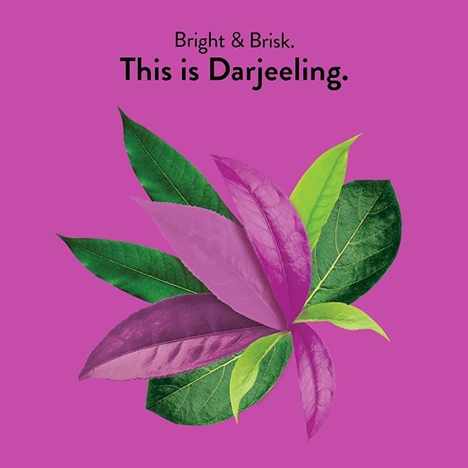 1 Choice Organics - Organic Darjeeling Tea (1 Pack) - Fair Trade - Compostable - Contains Caffeine - 16 Organic Black Tea Bags