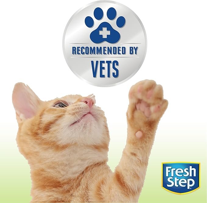 1 Fresh Step Clumping Cat Litter, Advanced, Simply Unscented, Extra Large, 37 Pounds total (2 Pack of 18.5lb Boxes) (Package May Vary)