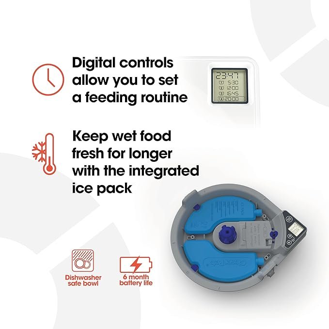 1 Cat Mate C500 - 5 Meal Digital Automatic Feeder with Ice Packs for Cats and Small Dogs