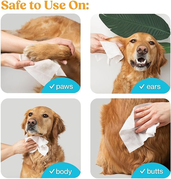 1 Pet Grooming Wipes - No-Rinse Dog and Cat Wipes, Gentle Cleansing and Deodorizing, Hypoallergenic Wipes for Paws, Ears, Fur, Eye Ducts and Butt - Unscented - 100 Count