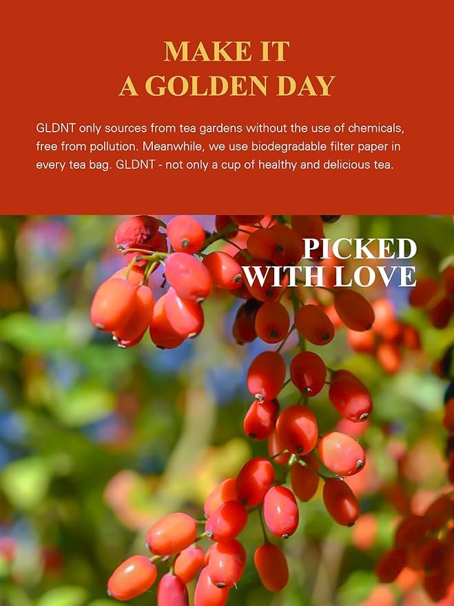 2 GLDNT Organic Goji Berries, Premium Dried Gogi Berry, Large Size, Slight Sweet & Fruit Flavor, Gluten Free, Caffeine Free, Natural Superfood, 8.8oz