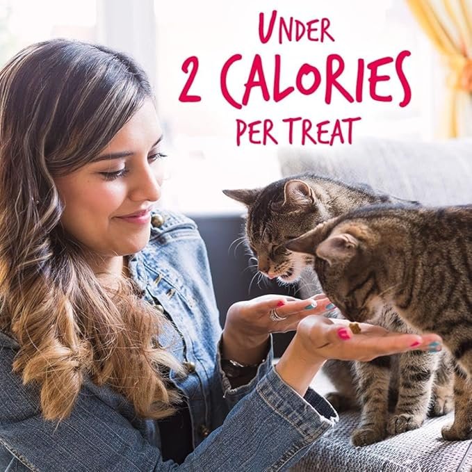 2 Fruitables Cat Crunchy Treats For Cats – Healthy Low Calorie Packed with Protein – Free of Wheat, Corn and Soy – Made with Real Salmon with Cranberry – 2.5 Ounces