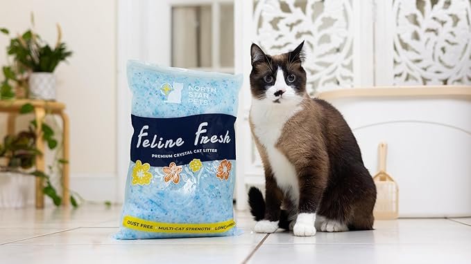 4 Feline Fresh - Premium Blue Crystal Cat Litter - 2 Bags, Absorbs Odors 5X Faster, Low Tracking, Lightly Scented, Lasts 1 Month, Multi-Cat Strength, Non-Clumping