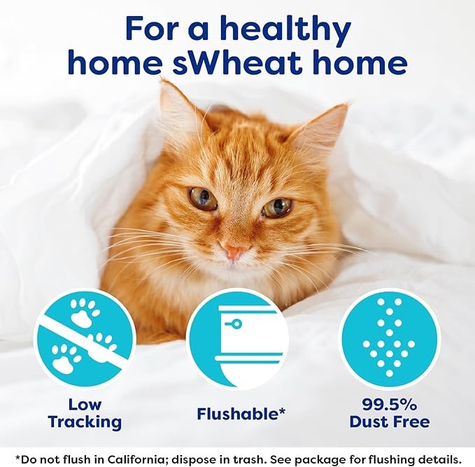 3 Natural Wheat Cat Litter, Original, Fast Clumping with Odor Neutralizing Enzymes, 25 Pound Bag