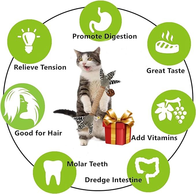 2 Cat Toys, 4 Pack Silvervine Cat Feather Toy Kitten Chew Stick Catnip Treat with Bell for Cleaning Teeth Indoor Kitty Teaser Wand Molar Snack for Interactive Pet Rabbit Bunny Hamster