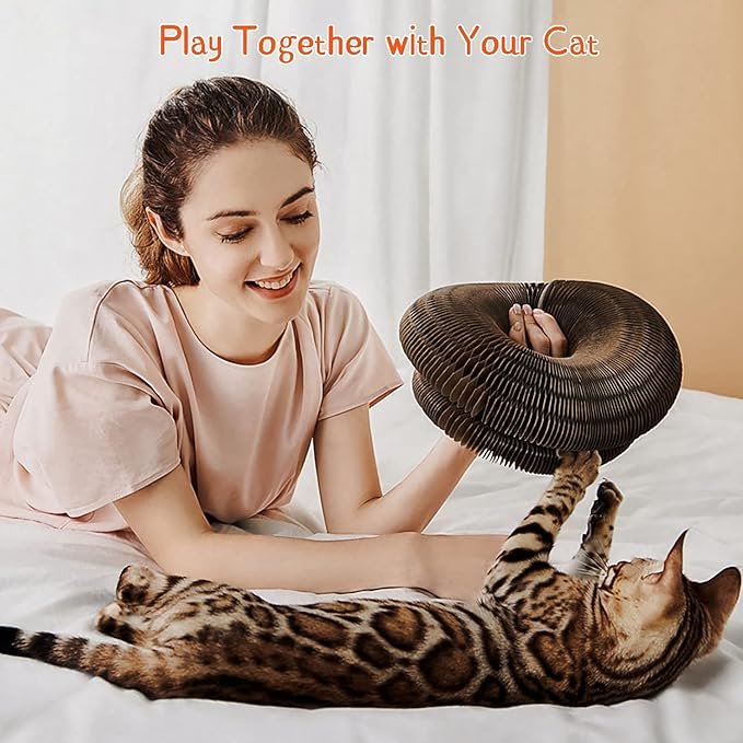2 Cat Ball Adventure The Ultimate Interactive Mental & Physical Exercise for Indoor Cats