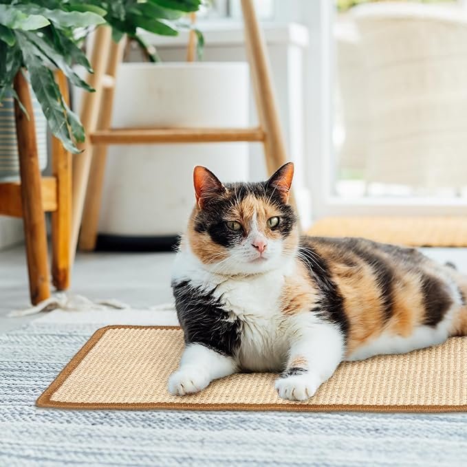 3 Mixweer 6 Pcs Wall Mounted Cat Scratching Post Floor or Wall Mounted Vertical Cat Scratch Pad 9.8 x 19.7 Inch Sisal Cat Scratching Pad Scratch Mat for Couch Wall Window Perch Wall Furniture
