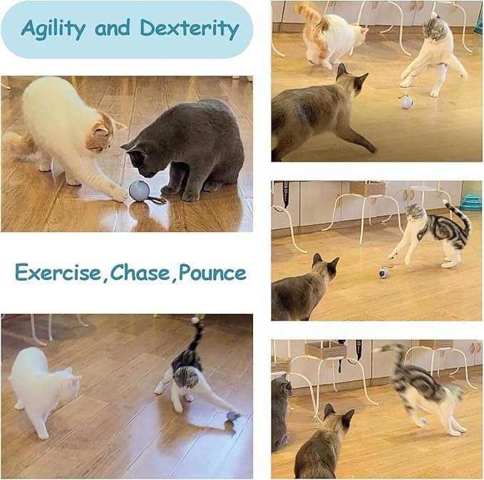 3 Migipaws Interactive Cat Ball Toy Set, Fun Tracker, Automatic Rolling Chase Ball with Fluffy Tail, A Small Mice, Rechargeable（Orange）