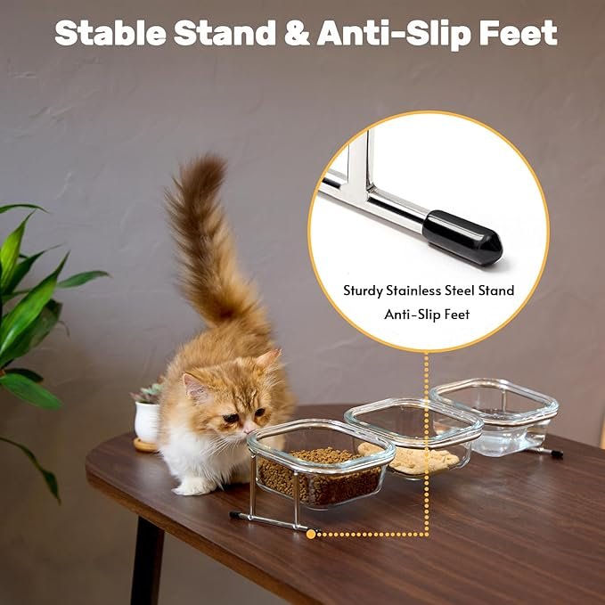 3 Hannadepot Elevated Cat Bowls, 15° Tilted Glass Raised Cat Food Bowl with Stainless Steel Stand, 3 Glass Cat Bowls and 4 Anti Slip Feet, Suitable for Cats and Little Dogs