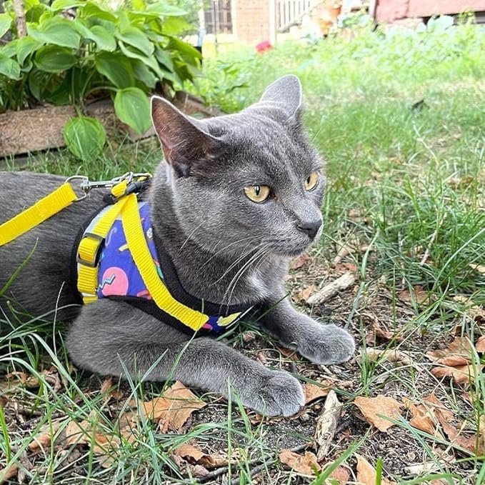 2 Travel Cat & Stray Cat Harness and Leash Set - Adjustable Fit Mesh Cat Harness and Reflective Strap - Comfort Escape Proof Harness for Cats, Kitten for Outdoor Walking, Hiking (Small, 90s Cat)