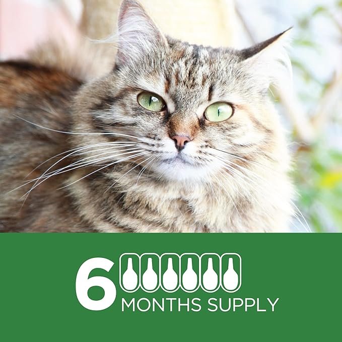 2 TevraPet Actispot II Flea Treatment for Large Cats 9+ lbs | 6 Doses | Powerful Prevention and Control