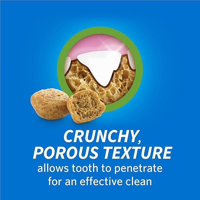 1 Purina DentaLife Made in USA Facilities Cat Dental Treats, Tasty Chicken Flavor - 19 oz. Pouch