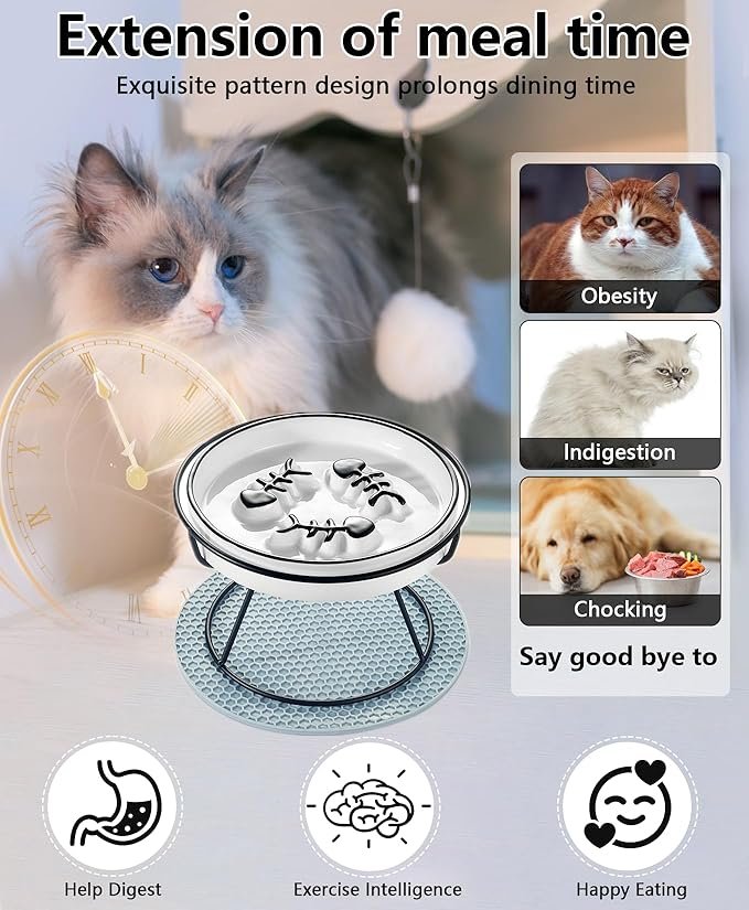 1 Cat Slow Feeder Bowl, Raised Slow Feeder Cat Bowl for Cat and Dog for Dry and Wet Food, Improve Digestion Design, Anti Vomit, Slow Down Cats Eating Speed