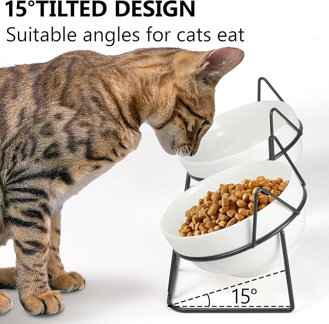 1 Elevated Tilted Cat Bowls for Indoor Cats，Raised Ceramic Cat Bowl Elevated 15°,Pet Feeding Bowls for Food and Water Anti Vomiting Bowl(Double Ceramics Bowls and Tilt Shelf) Suitable for All Cat Sizes