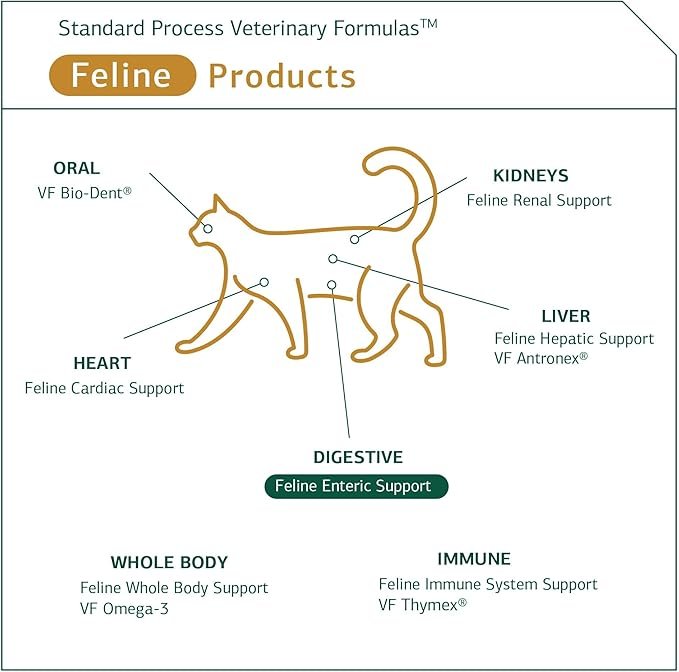 3 Standard Process - Feline Enteric Support - 90 Tablets