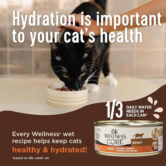 2 Wellness CORE Grain-Free Wet Cat Food, Natural Canned Food for Cats, Made with Real Meat (Turkey & Duck Pate, 3 oz Cans, Pack of 12)