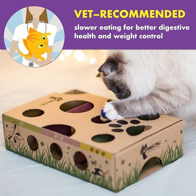 2 Classic – Cat Puzzle Feeder – Interactive Enrichment Toy – Treat Puzzle Box – Food Maze for Indoor Cats