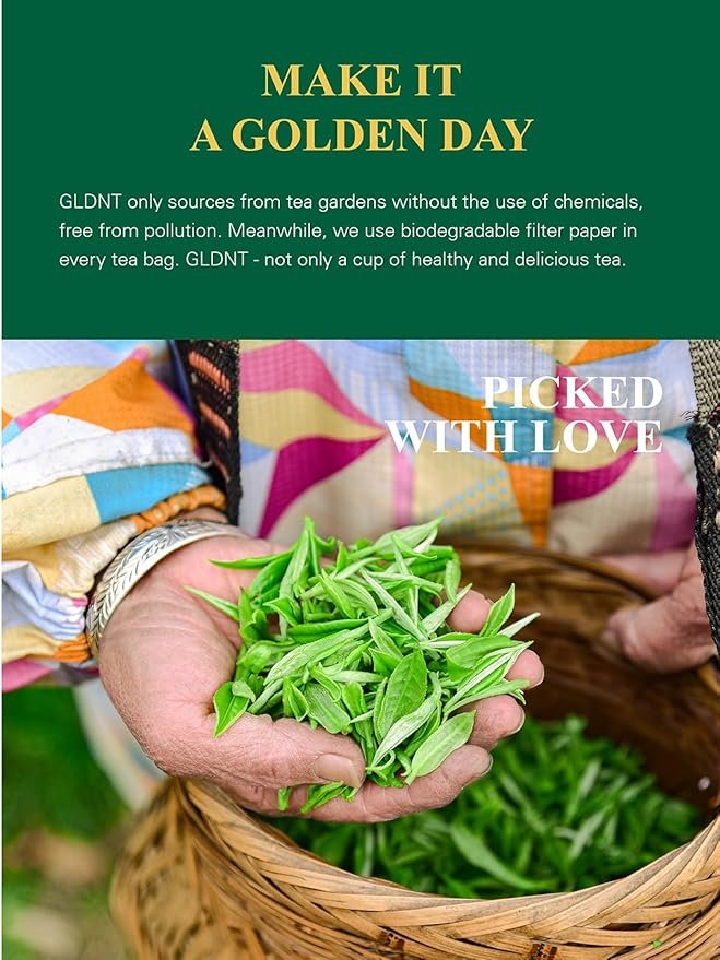 4 GLDNT Decaf Green Tea Bags, Decaffeinated Green Tea, Individually Wrapped, Smooth Flavor, Iced & Hot Tea, 20 Count