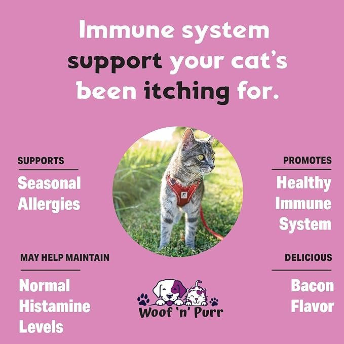 1 Immune Support for Cats - Helps to Support a Healthy Immune System - Cat Immune Booster - Cat Immune Support - Cat Immune Supplement - Immune Support Cats - Cat Immune Support Supplement - 1 fl oz
