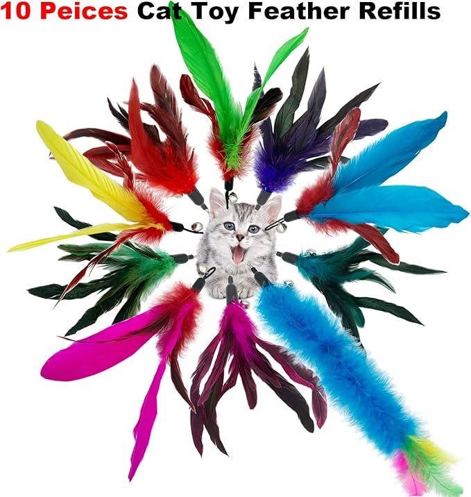 1 Cat Feather Toy Refill Cat Feathers Wand Replacement, 10 PCS Feather Cat Toy Refills, Interaction Feather Cat Toys for Indoor Cats