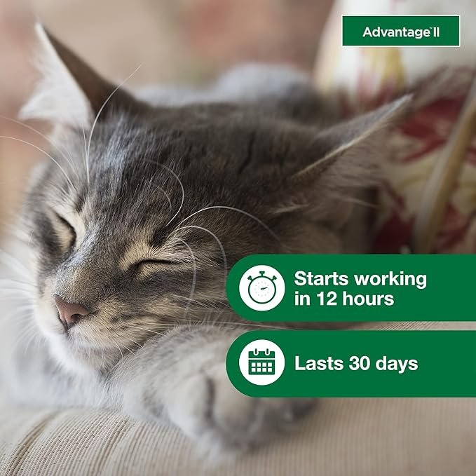 4 Advantage II Small Cat Vet-Recommended Flea Treatment & Prevention | Cats 5-9 lbs. | 6-Month Supply