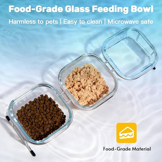 2 Hannadepot Elevated Cat Bowls, 15° Tilted Glass Raised Cat Food Bowl with Stainless Steel Stand, 3 Glass Cat Bowls and 4 Anti Slip Feet, Suitable for Cats and Little Dogs