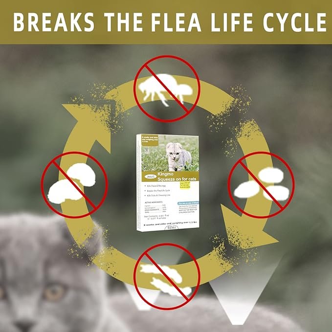1 Flea and Tick Prevention for Cats, Cat Flea & Tick Control with Fipronil, Long-Lasting & Fast-Acting Topical Flea & Tick Treatment Drops for Kitten, 1 Doses