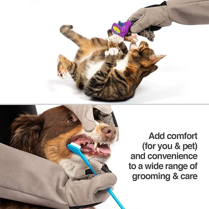 4 PetFusion Unisex Multi-purpose Pet Glove grooming glove (pack of 1)