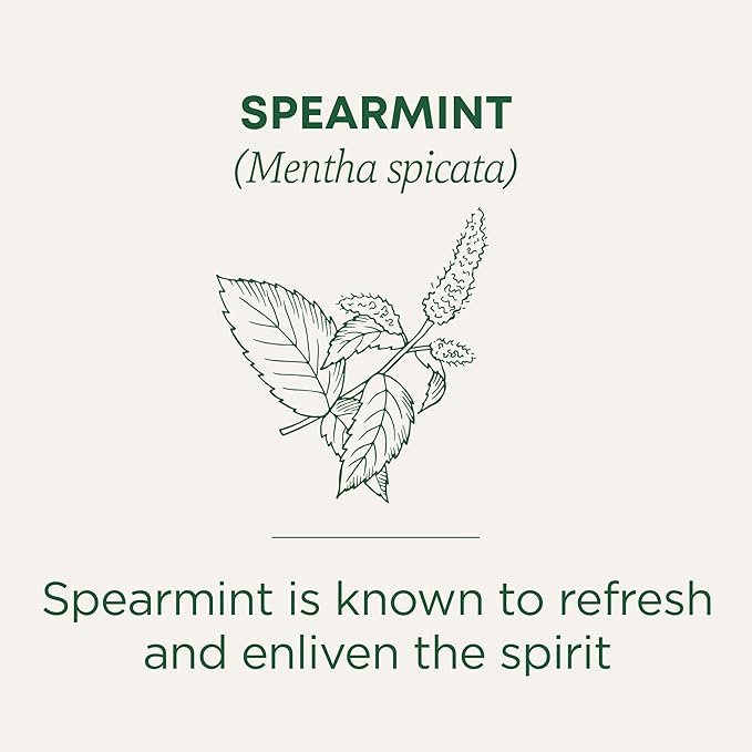 1 Traditional Medicinals Organic Spearmint Herbal Tea Bags, 16 Count (Pack of 6)