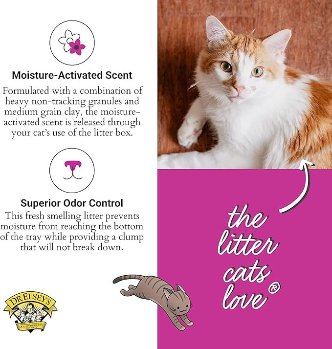 1 Dr. Elsey's Premium Clumping Cat Litter | Ultra Scented | 99.9% Dust-Free, Low Tracking, Hard Clumping, Superior Odor Control, Natural Ingredients & Moisture-Activated Scent