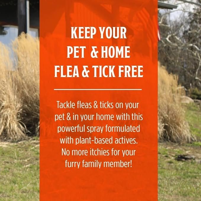 4 Grandpa Gus's Natural Flea & Tick Spray with Plant-Based Actives, Ready-to-Use, Quick Kills Fleas, Ticks & Mites from Small Animal, Dog, Cat & Home, 16 fl oz