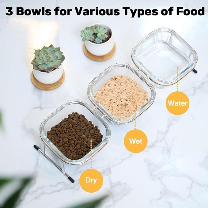 1 Hannadepot Elevated Cat Bowls, 15° Tilted Glass Raised Cat Food Bowl with Stainless Steel Stand, 3 Glass Cat Bowls and 4 Anti Slip Feet, Suitable for Cats and Little Dogs
