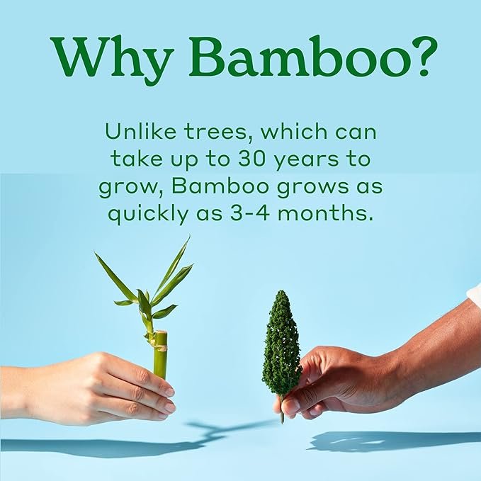3 Bamboo Eco Bath Tissue: Septic Safe, Biodegradable (300 Sheets Per Roll, 24 Double Rolls)