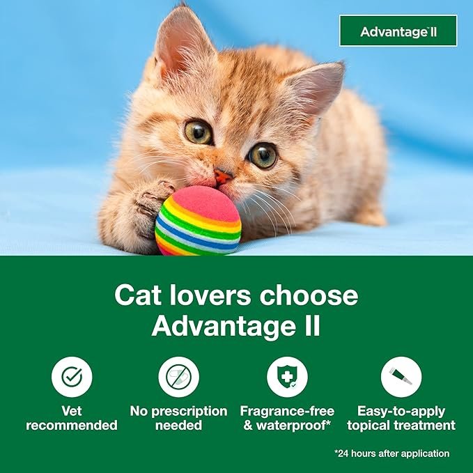 1 Advantage II Kitten Vet-Recommended Flea Treatment & Prevention | Cats 2-5 lbs. | 2-Month Supply