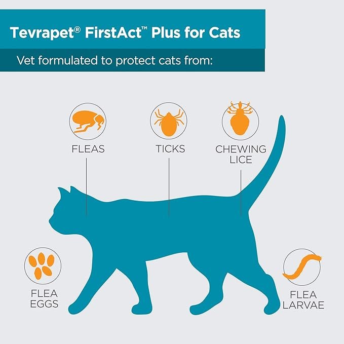 1 TevraPet FirstAct Plus Flea and Tick Prevention for Cats Over 1.5lbs, 6 Monthly Doses, Topical Drops