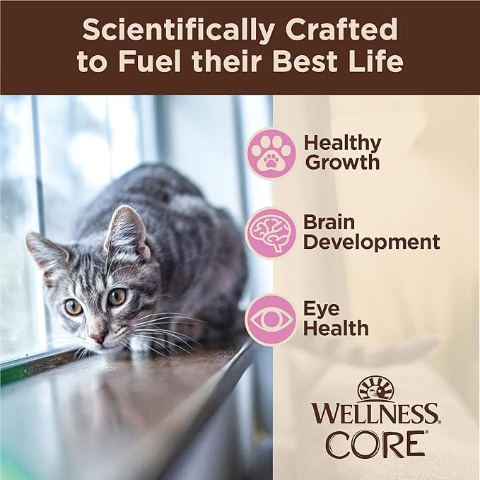 2 Wellness CORE Tiny Tasters Wet Kitten Food, Complete & Balanced Natural Pet Food, Made with Real Meat, 1.75-Ounce Pouch, 12 Pack (Kitten, Minced Chicken in Gravy)