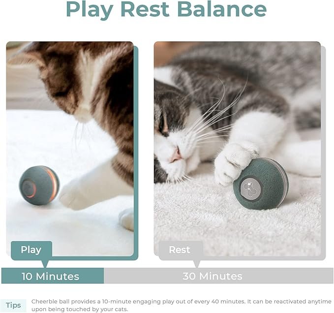 1 Cheerble [3 Interactive Modes] Smart Interactive Cat Toy, Automatic Moving Bouncing Rolling Ball for Indoor Cat Kitten Birthday Gift, Self Rotating Ball with Lights and Bell, USB Rechargeable Green