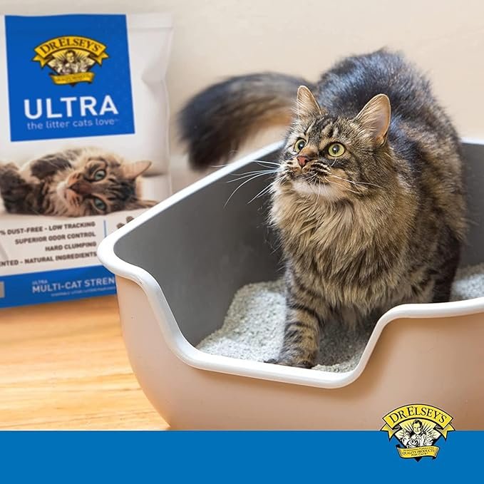 2 Dr. Elsey’s Premium Clumping Cat Litter - Ultra - 99.9% Dust-Free, Low Tracking, Hard Clumping, Superior Odor Control, Unscented & Natural Ingredients