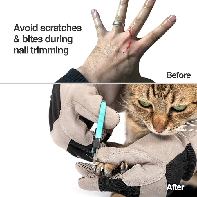 1 PetFusion Unisex Multi-purpose Pet Glove grooming glove (pack of 1)