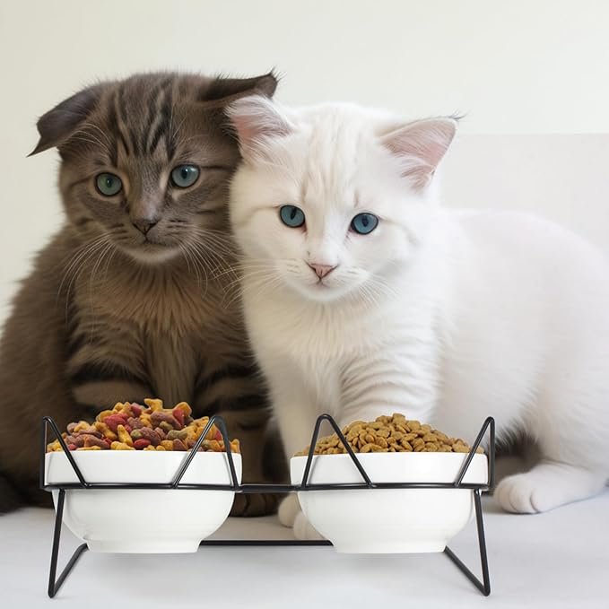 4 Elevated Tilted Cat Bowls for Indoor Cats，Raised Ceramic Cat Bowl Elevated 15°,Pet Feeding Bowls for Food and Water Anti Vomiting Bowl(Double Ceramics Bowls and Tilt Shelf) Suitable for All Cat Sizes