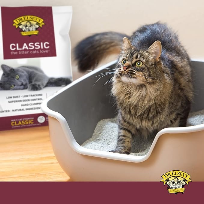 2 Precious Cat Classic Premium Clumping Cat Litter, 40 lb Bag