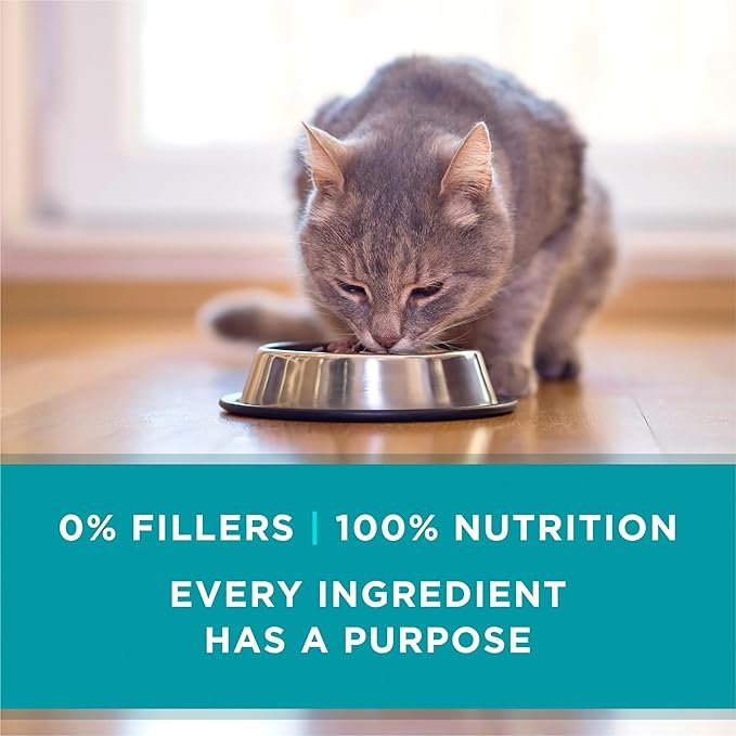 4 Purina ONE Natural, High Protein, Grain Free Wet Cat Food Pate, Beef Recipe - (Pack of 24) 3 oz. Pull-Top Cans