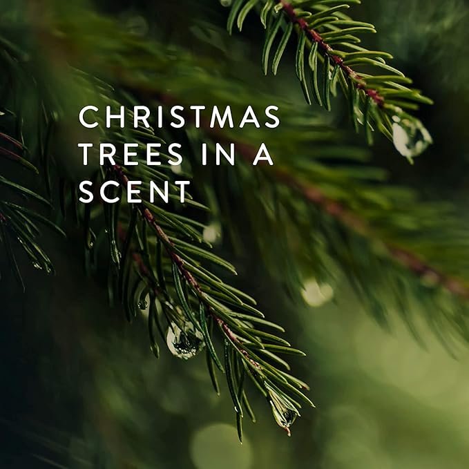 2 Thymes Frasier Fir Statement Candle and Diffuser Gift Set - Holiday Scented Candle & Diffuser with Notes of Siberian Fir, Cedarwood, and Sandalwood - Silver (4 fl oz Petite Diffuser + 5 oz Candle)