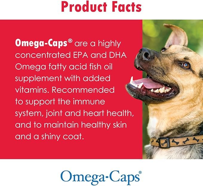 4 Omega-Caps ES Liquid - Vitamins, Minerals, Omega-3 Fatty Acids, Antioxidants for Dogs and Cats - 8 fl oz