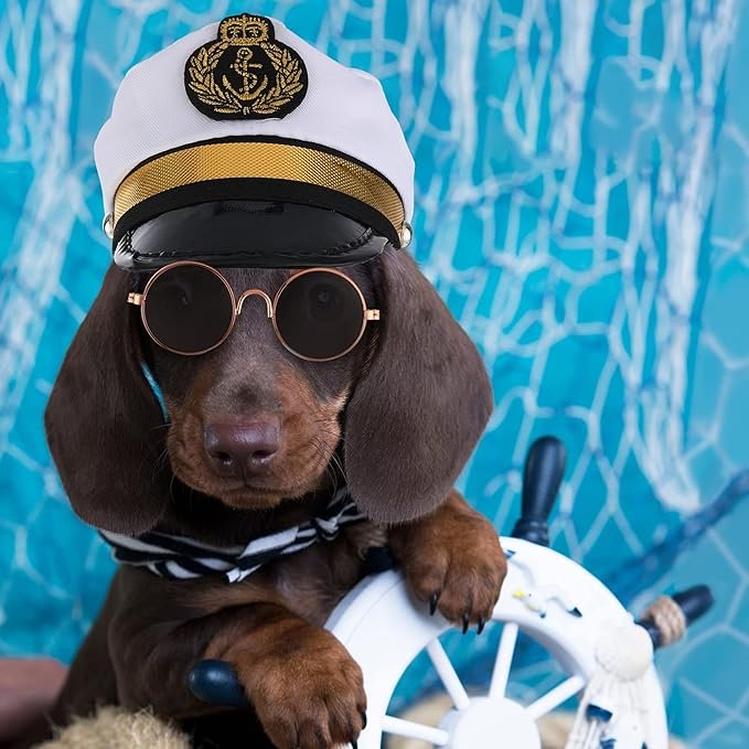 5 5 Pieces Halloween Cat Sailor Costume Set Dog Captain Hat Sailor Hat Cat Captain Navy Sailor Suit Small Pet Sunglasses Cravat Neck Tie for Cat Puppy Photo Props Costume Party Accessories