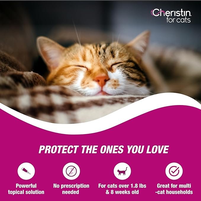 2 Cat Cheristin Cat Flea Treatment & Prevention for Cats | 1 Topical Dose Provides Up to 6 Weeks of Coverage | 3 ct.