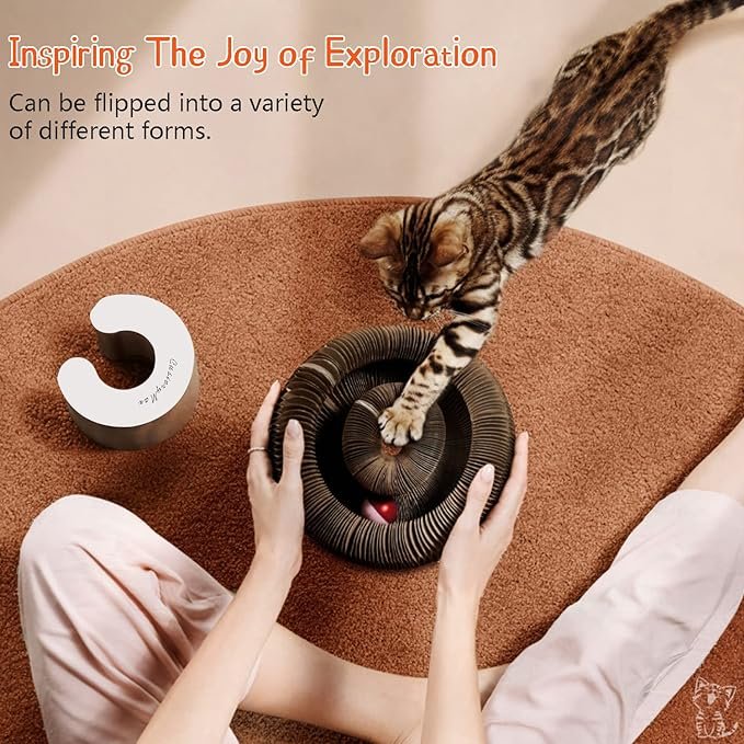 1 Cat Ball Adventure The Ultimate Interactive Mental & Physical Exercise for Indoor Cats