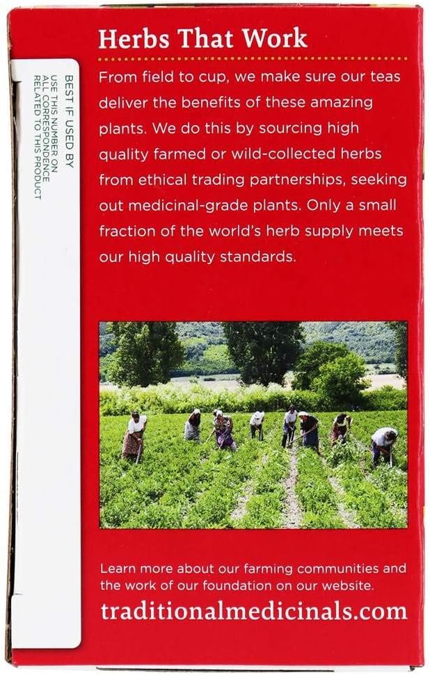 1 Traditional Medicinal Breathe Easy Tea, 16 Count Teabags (Pack of 1)