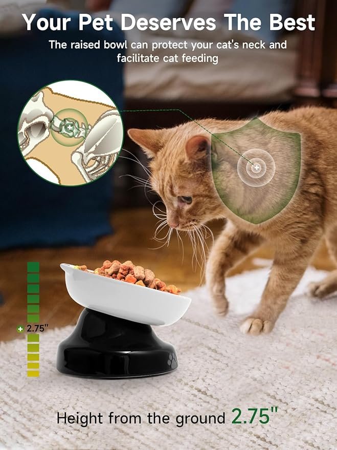 3 Y YHY Slow Feeder, Elevated Food Bowl Tilted Design for Dog and Cat for Dry and Wet Food
